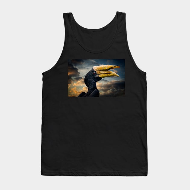 Rhinoceros Hornbill Tank Top by Adrian Evans Photography